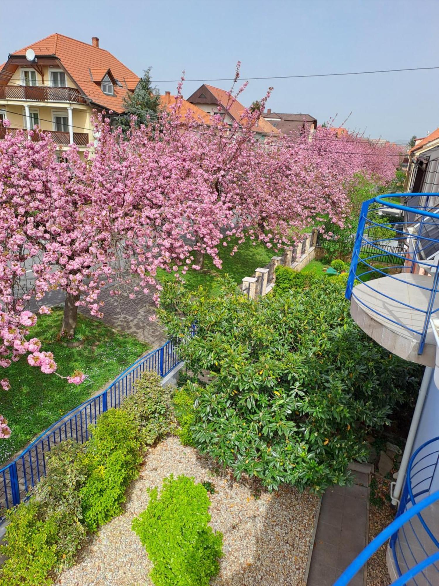 Laguna Apartmanhaz Hévíz Exteriör bild